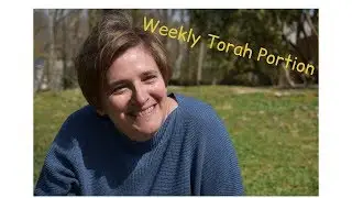 Weekly Torah Portion: Kedoshim 2019