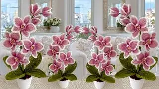Lindas hermosas Flores Orqu&iacute;deas Eternas a Crochet para San Valent&iacute;n / New Easy Flower Crochet