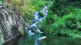 Water Sounds for Sleeping Deeply with Pure Stream Water Sounds to Fall Asleep Faster and Deeper