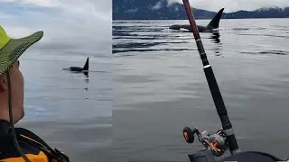 ORCAS SWIM RIGHT BY MY KAYAK! (Unbelievable Encounter)