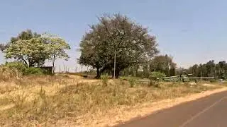 Plus Ultra Tanzania's Ngorongoro National Park Game Drive I