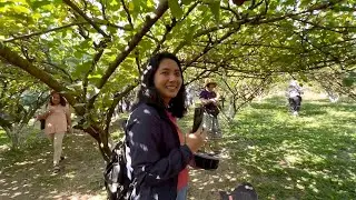 Science based Mulberry and Vanilla farming in Thailand
