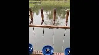 mancing beleseng saguling jos gandoss😁