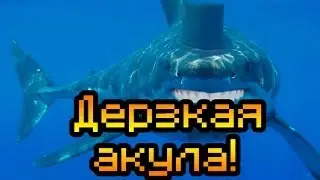 Обзор Sharkasm [Дерзкая акула!]