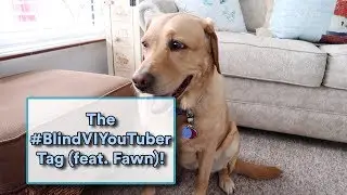 The #BlindVIYouTuber tag!