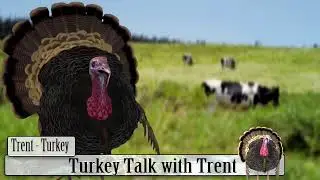 Turkey Talk with Trent