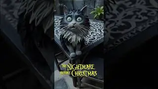 mon chat Igor se transforme 😁 abonnez-vous suivez mes aventures #animals #chat #animation #cat