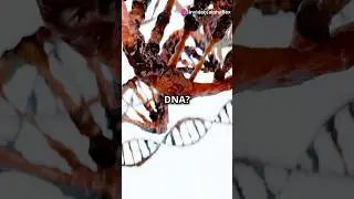 Nutrigenomics! How Your Food Talks to Your DNA (Part 1) #nutrition #health #wellness #livelong #diet