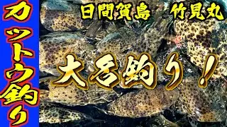 【カットウ釣り】日間賀島で大名釣り！ホヤ餌でフグは釣れるのか？自作仕掛けでヒガンフグを掛けまくれ!?
