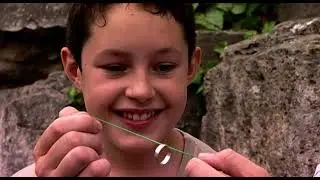 Stephen Mulhern's Magic Tricks on Tricky TV! 🪄✨ Season 2, Episode 11 - Stephen Mulhern's Powers 🎩🐇