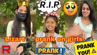 Prank 🥰//😂 lizard 🦎 prank on girls /reaction video 😂//toxicbanda13 /cute girls #viral #prank nk