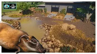 Red River Hog Enclosure In Planet Zoo - Habitat Build | Tropical Pack |