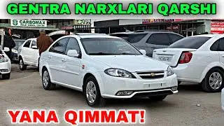 29 DEKABR GENTRA NARXLARI 2025. QARSHI MOSHINA BOZORI NARXLARI 2025 HOZIR HAM QIMMAT