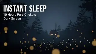 10 Hours Pure Forest Crickets | Deep Sleep in the Relaxing Sanctuary 🌙🎧