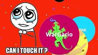 Argario Epic Leaderboard Domination - Agar.io Biggest Cell Trolling Teams