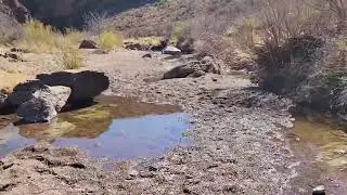 Big Bend Ranch State Park Cinco Tinajas and the Leyva Escondido Spring Loop