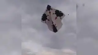 Big White Gudda Flights #patangbaz #pindibasant #kite #patang #bassant #kiteflying #patangbaz #pindi