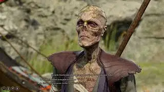 Baldur's Gate 3 Revive Bug