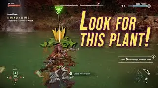 Secret Underwater Location w/ Ancient Loot | Horizon Forbidden West