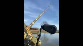 Epic top water adventure (backyard pond adventures pt2