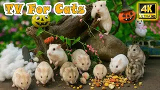 🔴 Interactive Cat TV: All-Day Entertainment for Bored Cats with Fun Mouse Videos & Stress Relief