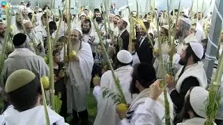 El Halel de Hoshana Raba 5777 con el Rabino Shalom Arush y el Rabino Yonatan Galed