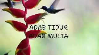 ADAB SEBELUM TIDUR (LYRICS VIDEO)