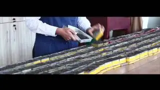 Ceylon Tea Sri lanka - Finlays Tea, Alwazah Tea, Tea Labeling, Tea Manufacturing
