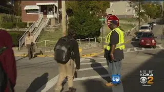 Pittsburgh Safety Department Hiring School Crossing Guards