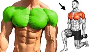 Effective Chest Shoulders Workout Training for Upper Body Muscles Hypertrophy 