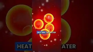 Do Microwaves Destroy Vitamins and Minerals