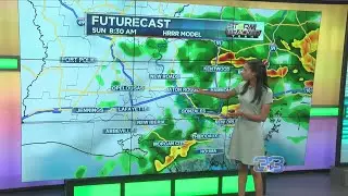 StormTracker Forecast (February 15, 2020)