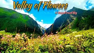 Valley of Flowers Trek |  Uttarakhand | Heaven on Earth