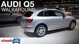 2016 Audi Q5 Walkaround
