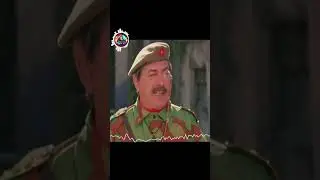 La Soldatessa alle Grandi Manovre  Scene 23 #humor #classiccomedy #comedy #movie