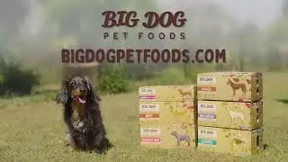 Fresh, Raw, Real Food for Pets