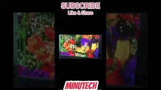 NOVA HIGH RESOLUTION LED DISPLAY SCREEN P2.6 I09NDOOR FULL COLOR #Shorts