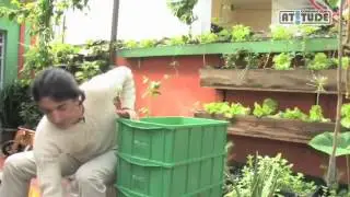 (2012-03-01) Como fazer uma composteira domestica para reciclar os resíduos orgânicos
