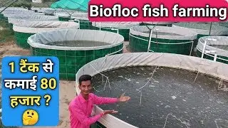 Biofloc Fish Farming in India || एक टैंक से 80,000 की कमाई सच या झूठ || मछली पालन कैसे करे?
