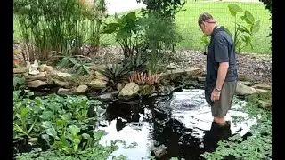 Pond Pump Repair - save the koi!