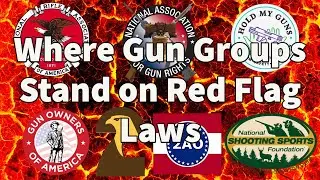 Do Some Gun Rights Group Support Red Flag Laws?
