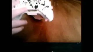 Splatter Controller - Aztek Customs