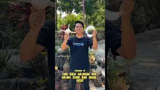 Cara Bikin Gulungan dan Gulung Senar Layangan Tercepat Anti Kusut
