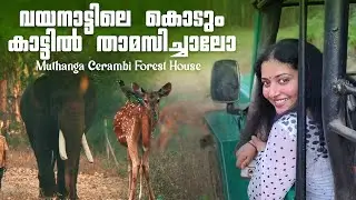 Muthanga Cerambi Govt Forest Stay Wayanad | Wildlife Sanctuary | Anu Sithara Vlogs