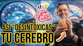 ¡Esto LIMPIA tu CEREBRO! (Literalmente) | DrPoloGuerrero