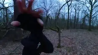 Forest VR 360&deg;