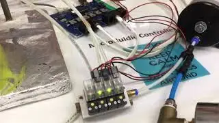 Biomimicry of embryonic circulation using lab-on-a-chip