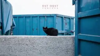 Est Oest - Enveja
