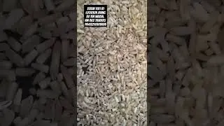 Steem B1#riceindustry #rice #ricebusiness#food #pakistanagriculture#export #viralshorts#100k