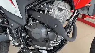 ‼️ NUEVA Honda TORNADO 300 Modelo 2025| Top speed | PRECIO🤔